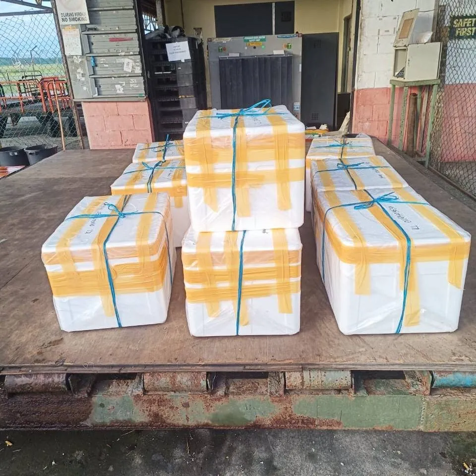 Sealed and strapped insulated shipping boxes staged on a pallet for despatch