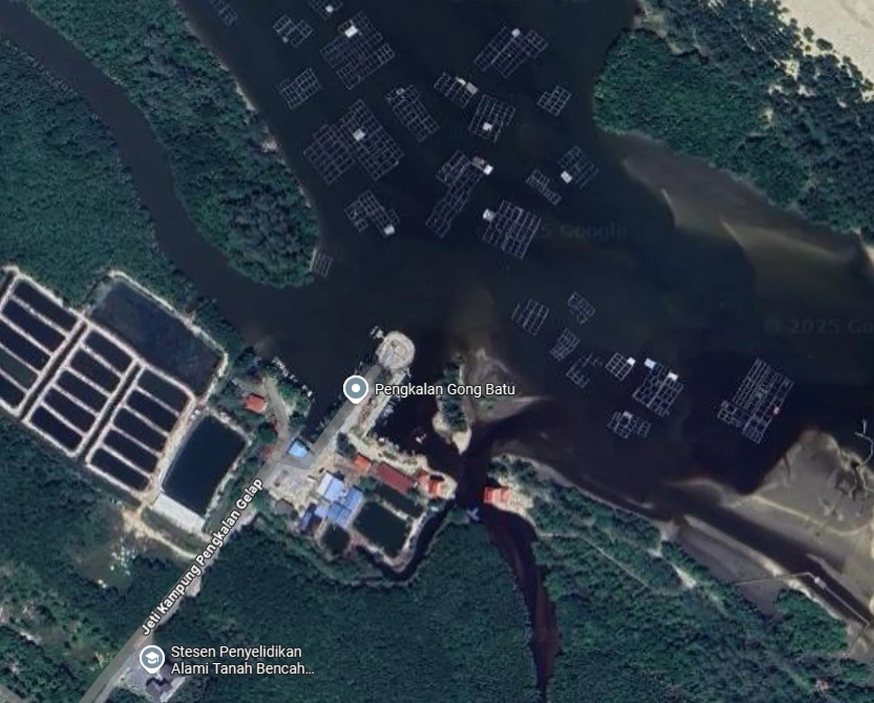 Satellite view of oyster raft grids across the Setiu wetlands channel